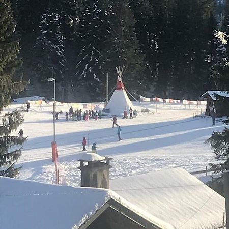 Route Des Joncs 300 Appartemen Les Paccots 외부 사진
