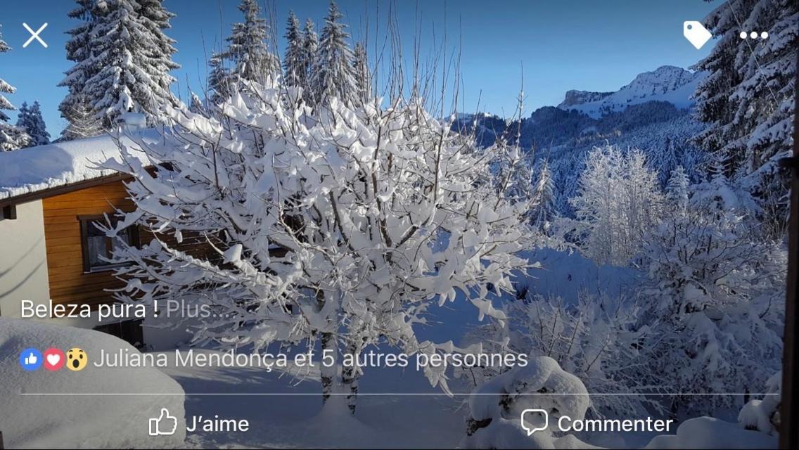 Route Des Joncs 300 Appartemen Les Paccots 외부 사진